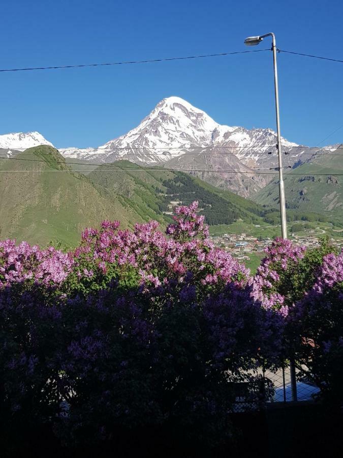 Hilltop Kazbegi Bagian luar foto